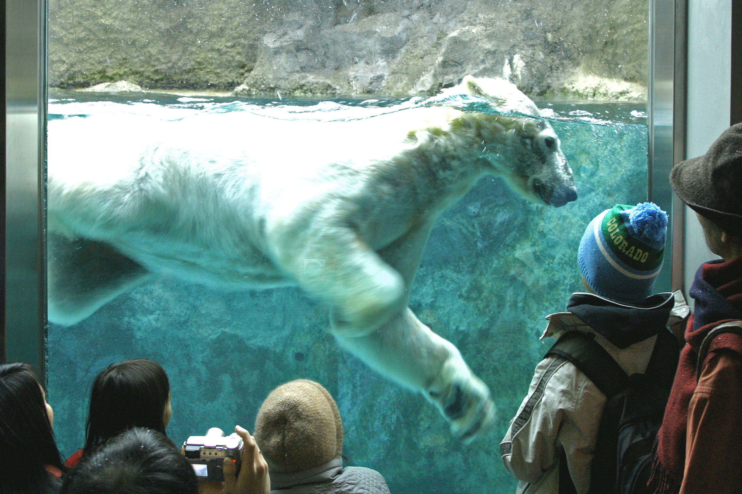 旭山動物園