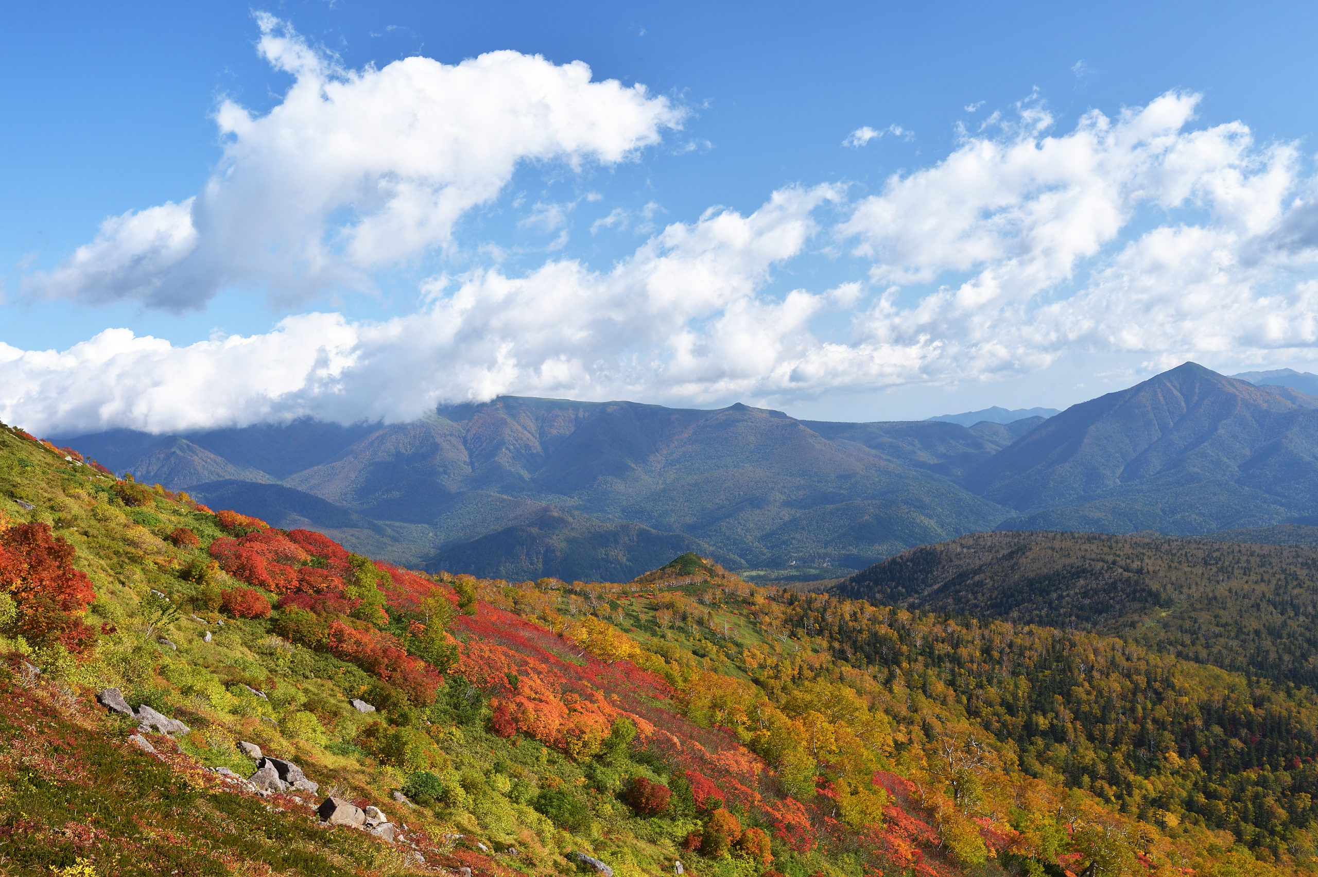 大雪山銀泉台の紅葉